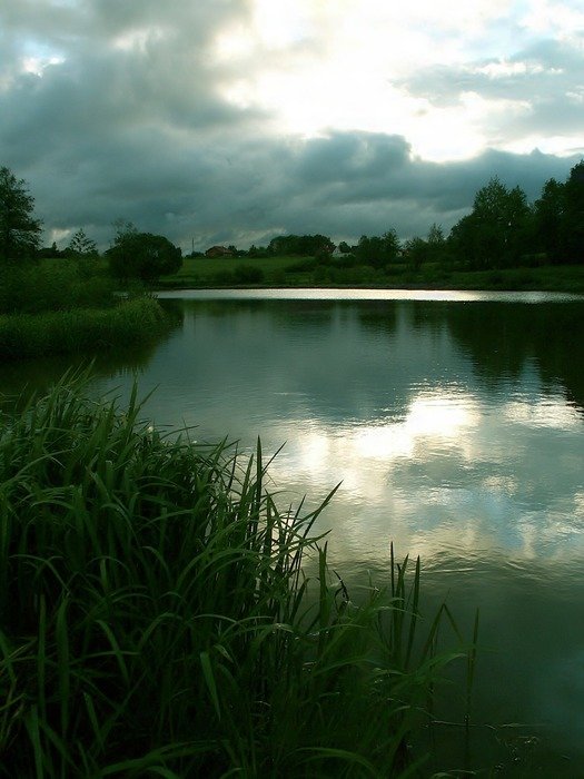 reflection of the evening sky in the pond