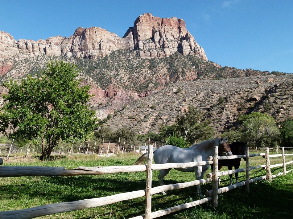 Beautiful and colorful zion national park in Utah