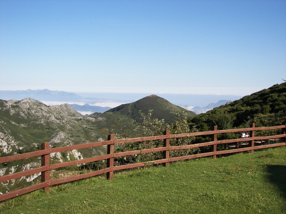 wooden fence on the edge of the meadow