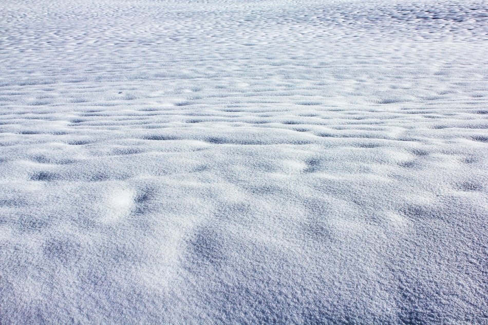 snowy field in winter's day