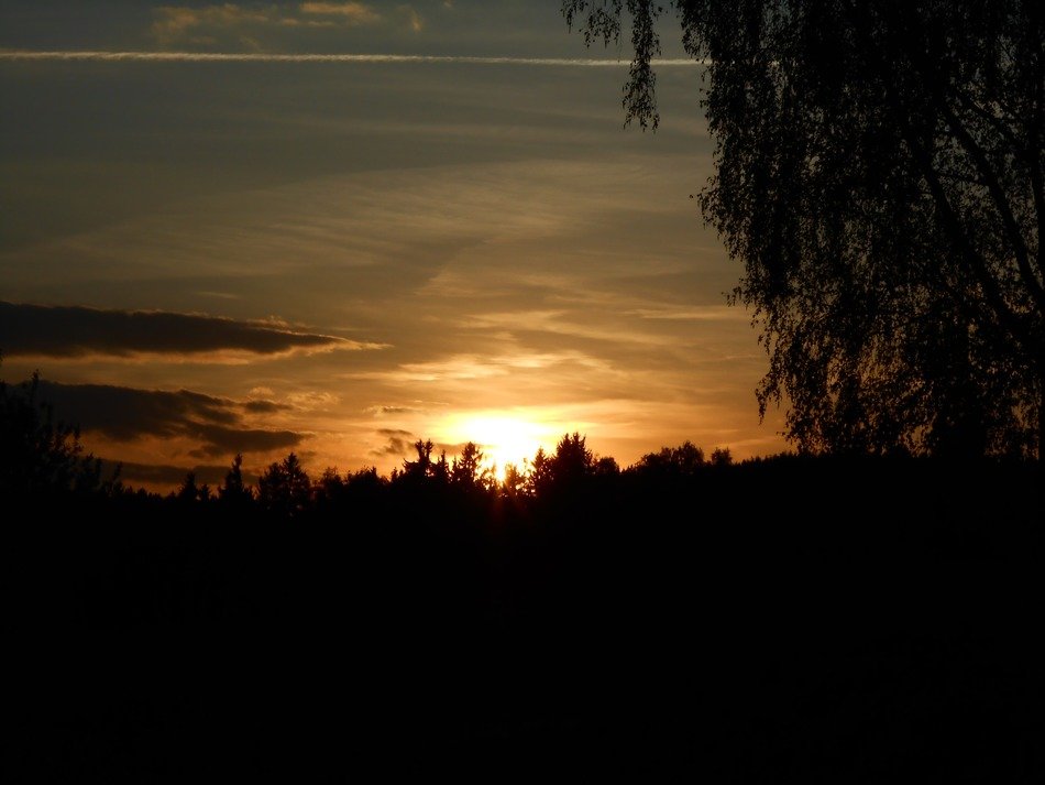 sunset over the trees behind the clouds