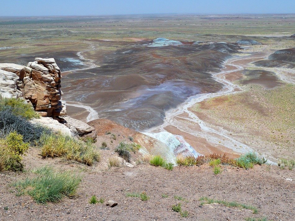petrified national park