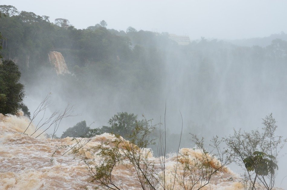 landscape of wildlife in Iguazu