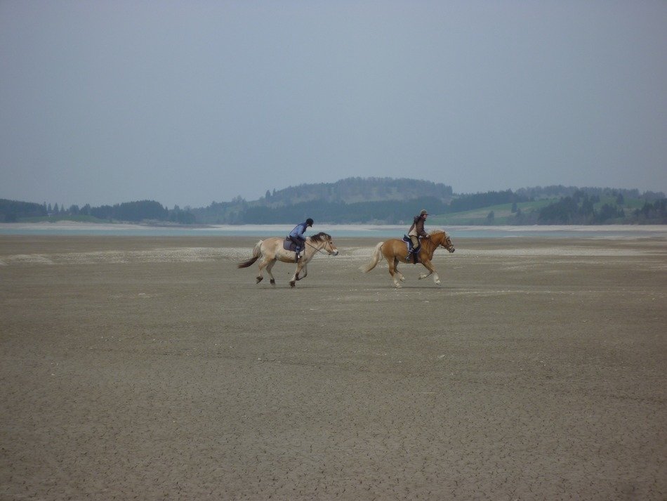 riders on the Forggensee, Germany