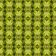 Seamlessly repeating patterns N2