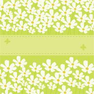 vector floral frame N4