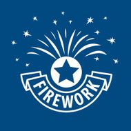 vector icon for fireworks N7