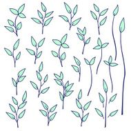 plants illustration N11