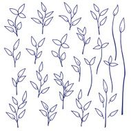 plants illustration N12