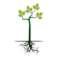 Green Tree and Roots