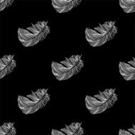 Seamless pattern with feathers N19