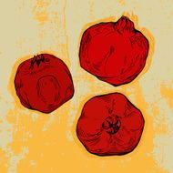 Hand drawn pomegranates on grunge red background