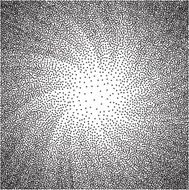 black and white halftone background N7