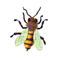 Bee N10