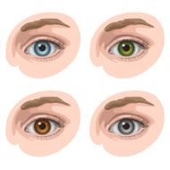 Eyes with different colors