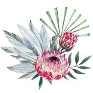 Vector tropical protea composition