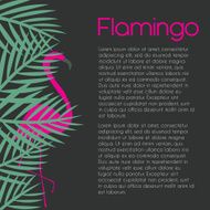 Flamingo template on dark background