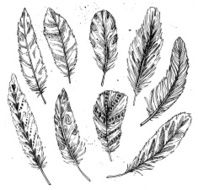 Hand drawn vector vintage illustration - Feathers Ink and feather