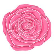 beautiful red rose isolated on white background N2