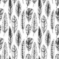 Seamless pattern Hand drawn vector vintage illustration - Feathers N3