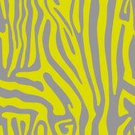 Seamless pattern with colored Zebra skin