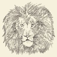 Lion head ethnic style illustration drawn sketch