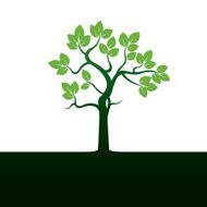Green tree N6