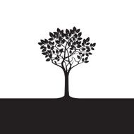 Black Tree N2