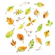 Collection beautiful colorful watercolor autumn leaves