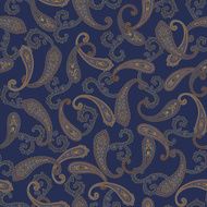 Paisley illustration patter