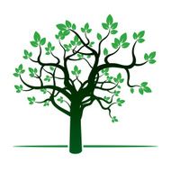 Spring Tree and Green Leafs