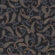 Paisley illustration pattern N10