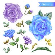 graceful exquisite roses N2
