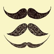 Vector mustache