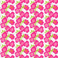 Seamless pattern with poppies on a white background N5