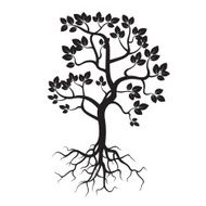 Black Tree and Roots