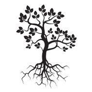 Black Tree and Roots N2