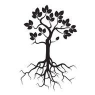 Black Tree and Roots N3