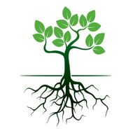 Green Tree and Roots N5