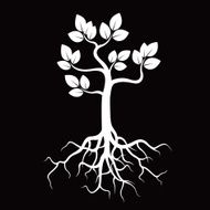 White Tree and Roots