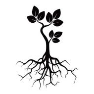 Black Tree and Roots N4