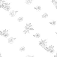 Black And White Flowers N9