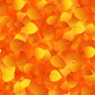 Gold fall design N6