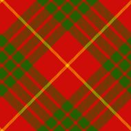 clan cameron tartan diagonal seamless pattern
