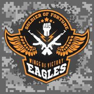 Eagle wings - military label badges and design elements N3