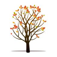 Autumn Tree Vector Illustration