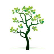 Spring Tree and Green Leafs N2