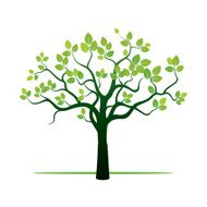 Spring Tree and Green Leafs Color Illustration