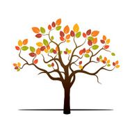 Autumn Tree and Color Leafs