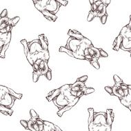 Pattern Bulldog french N2